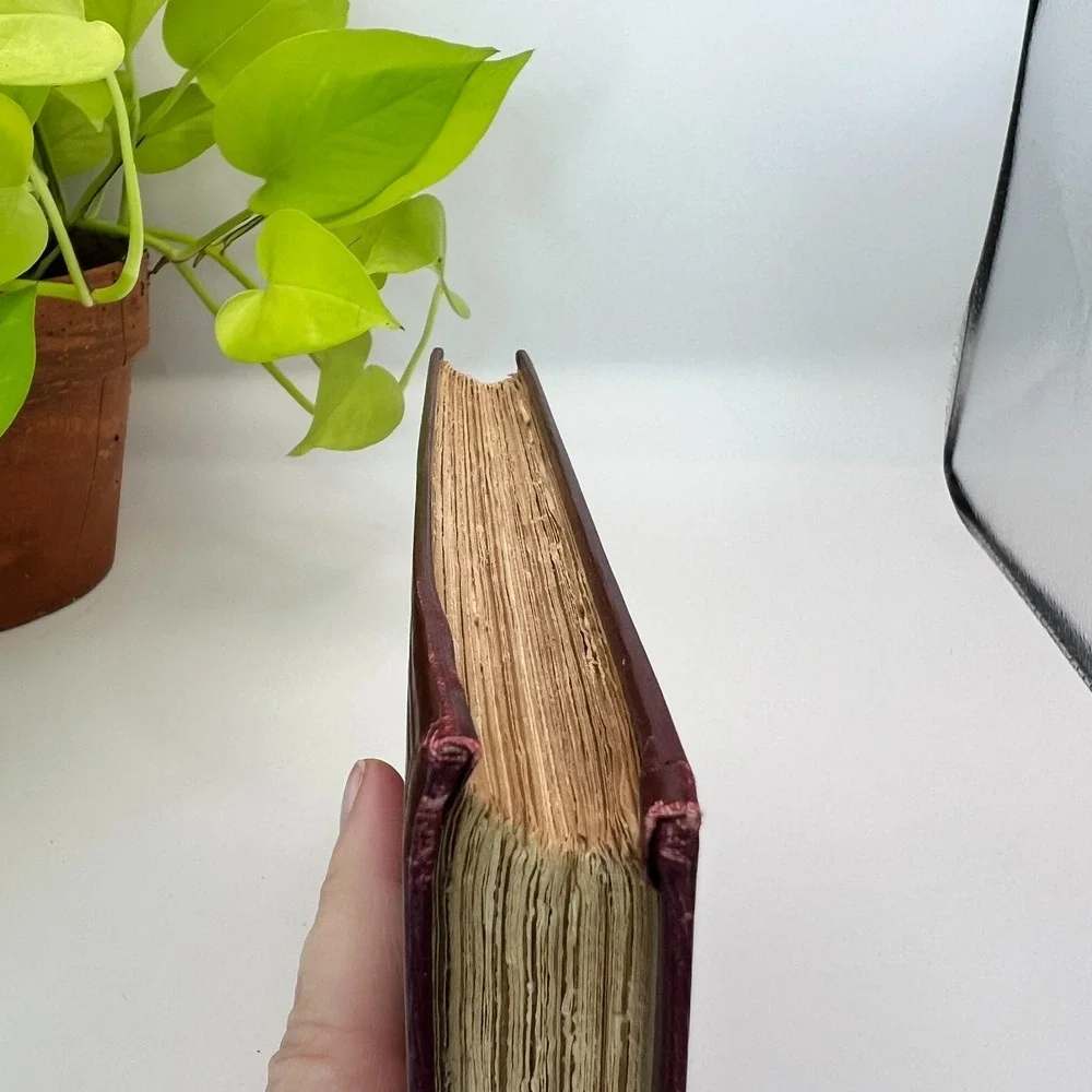 Marius the Epicurean Walter Pater 1907 Hardcover Macmillan Classic Novel